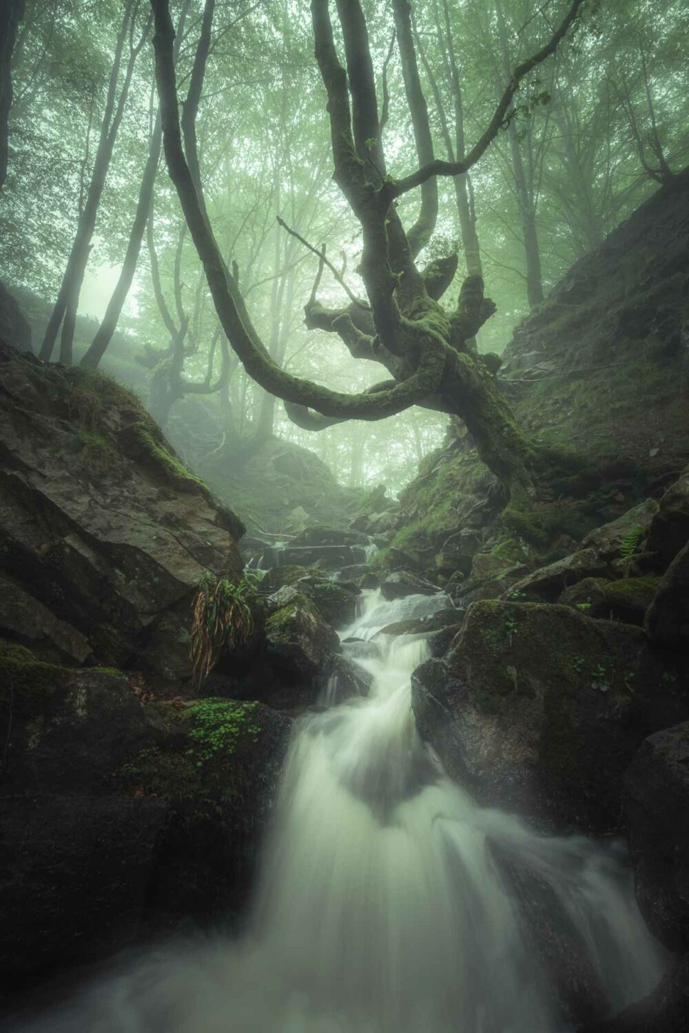 Belaustegi con niebla- 3 -@ DIVCreativo - David de la Iglesia - Fotógrafo de Paisaje