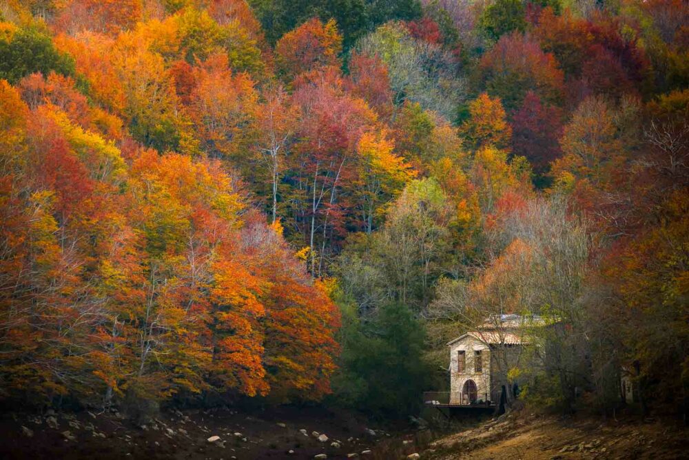 Montseny y sus colores en otoño